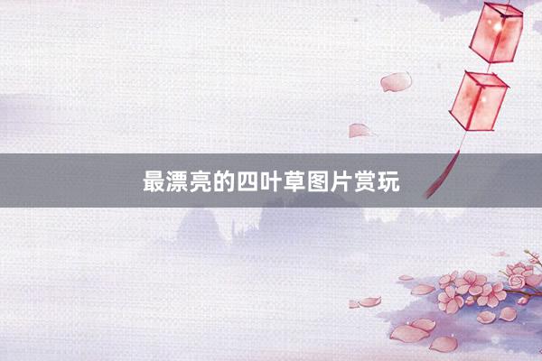 最漂亮的四叶草图片赏玩