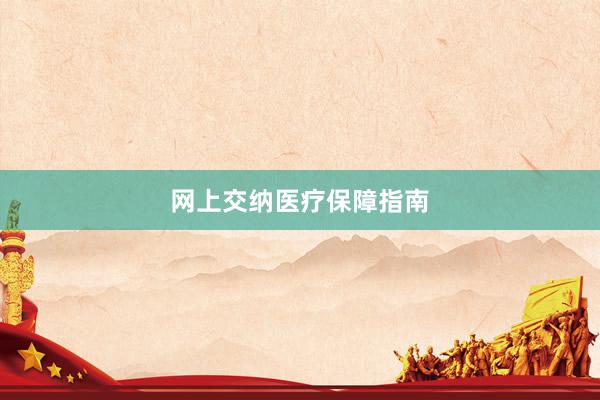 网上交纳医疗保障指南