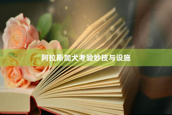 阿拉斯加犬考验妙技与设施