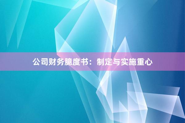 公司财务臆度书：制定与实施重心